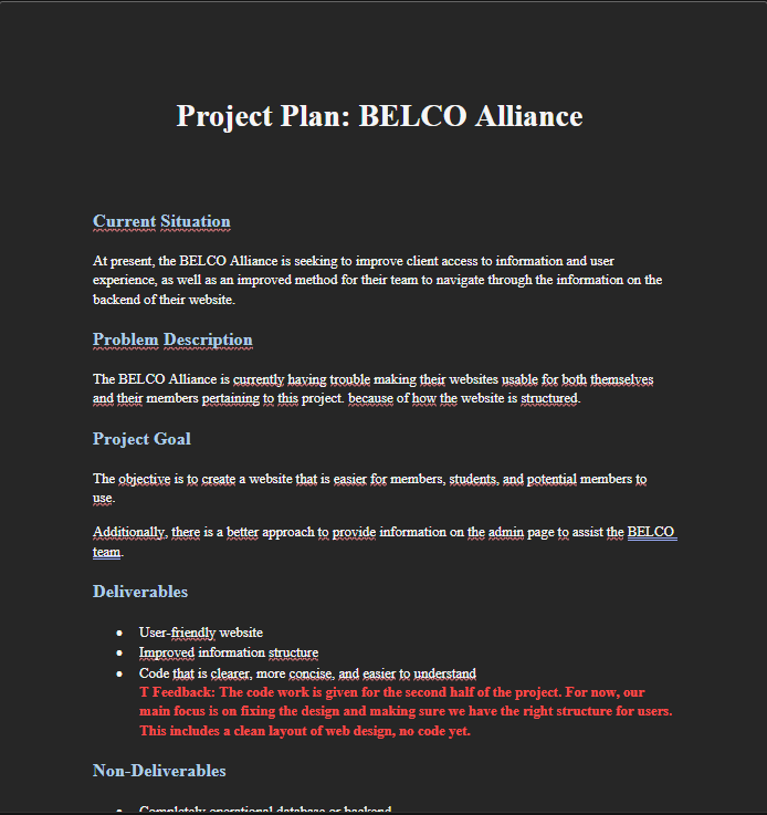 Belco project plan